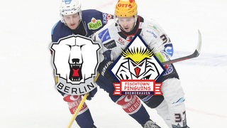 Eisbären Berlin gegen Fischtown Pinguins Bremerhaven