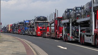 Zahlreiche Autotransporter stehen hintereinander auf einer Straße.