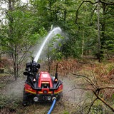 Ein Löschroboter löscht ein Feuer in einem Wald.