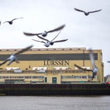 Möwen fliegen vor einem Werft-Gebäude am Wasser.