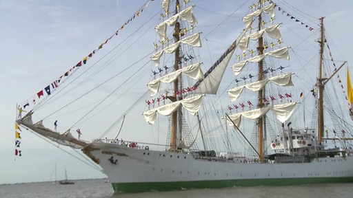 DIe Lütte Sail in Bremerhaven im Jahr 2020. 
