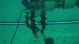 Unterwasseraufnahme von Tauchern im Schwimmbecken
