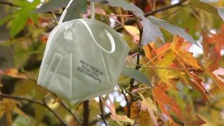Eine FFP2-Maske hängt am Ast eines Baumes mit verfärbten Blättern.