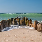 Eine alte Buhne, im Hintergrund das Meer.