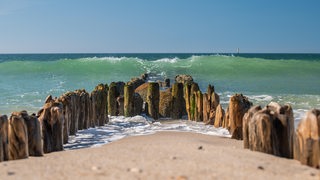 Eine alte Buhne, im Hintergrund das Meer.