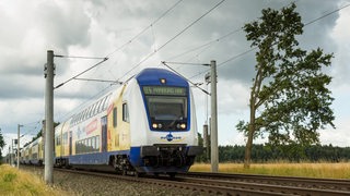 Ein Metronom-Zug auf der Strecke nach Hamburg.