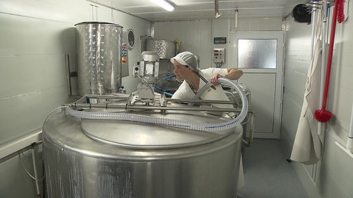 Die Dienstleisterin und Molkereifachfrau Steffi Heidrich beim arbeiten in der Käserei.
