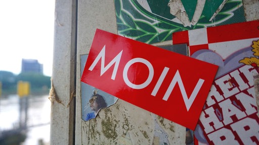 Ein roter Sticker mit weißer Aufschrift "Moin" klebt an einem Stromkasten.