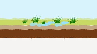 Eine Grafik, die verschiedenen Schichten eines Moorbodens zeigt. 
