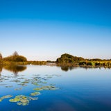 Das Teufelsmoor in Niedersachsen, Worpswede. Breites Wasser.