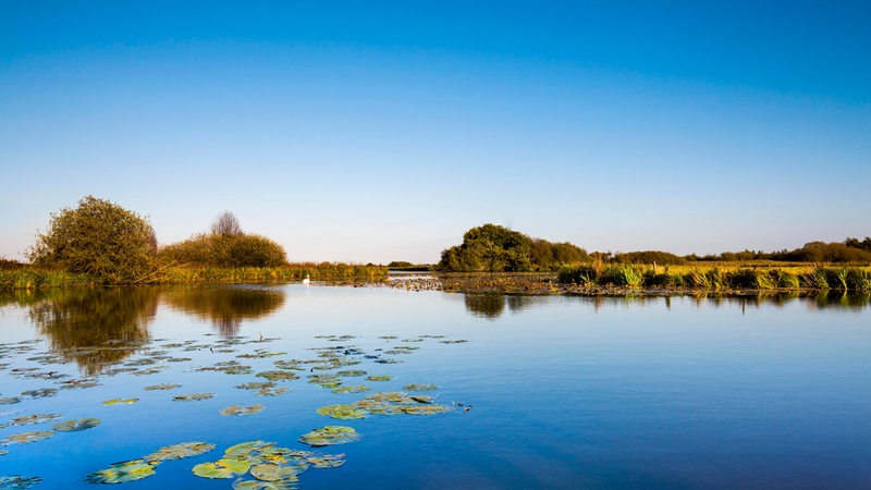 Das Teufelsmoor in Niedersachsen, Worpswede. Breites Wasser.