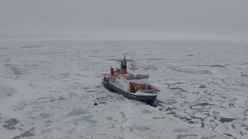 Das Forschungsschiff Polarstern vom AWI Institut bei der Mosaic Expedition um ewigen Eis. 