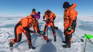 Vier Personen stehen in orangefarbenen Schutzanzügen auf dem Eis und graben ein Loch.