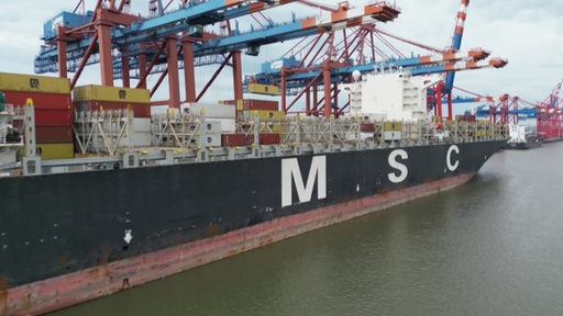 Ein Frachtschiff der MSC Reederei wird gelöscht.