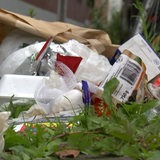 Illegal entsorgter Müll liegt in einem Blumenbeet.