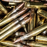 Patronen im Kaliber .223 Remington liegen in einer Munitionskiste.