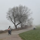 Eine Radfahrerin fährt an der nebeligen Weser entlang
