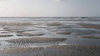 Niedrigwasser an der Nordsee bei Norderney