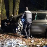 Ein Polizist begutachtet ein Auto, dessen Fahrer gegen einen Baum gefahren ist.