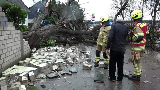Feuerwehrmänner stehen vor einem Baum, der vom Sturm entwurzelt wurde und auf eine Mauer gefallen ist.