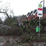 Feuerwehrmänner stehen vor einem Baum, der vom Sturm entwurzelt wurde und auf eine Mauer gefallen ist.