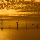 Zahlreiche Windräder stehen auf einer Offshore-Anlage im Meer.
