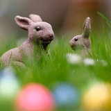 Osterhasen-Figuren sitzen auf einer Wiese mit Ostereiern. (Symbolbild)