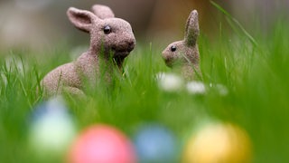 Osterhasen-Figuren sitzen auf einer Wiese mit Ostereiern. (Symbolbild)