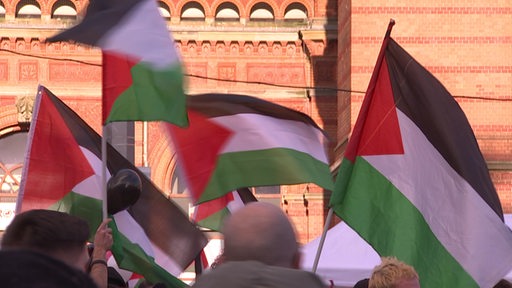 Zu sehen sind Flaggen bei einer Pro Palästina Demo.
