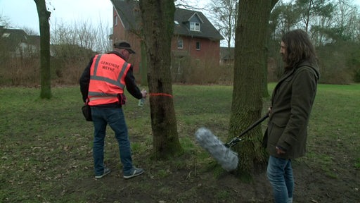 Ein Baumkontrolleur der Gemeinde Weyhe markiert mit roter Farbe einen Baum. Reporter Freddy Radeke steht daneben.