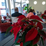 Blick in einen Gemeinschaftsraum eines Pflegeheims