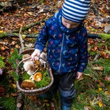 Ein kleiner Junge trägt im Wald einen Korb mit Pilzen.