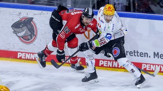 Zwei Eishockey-Spieler von Bremerhaven und Köln kämpfen an der Bande um den Puck.