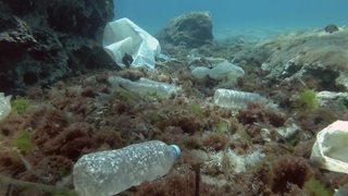 Unterwasseraufnahme: Plastikmüll im Meer.