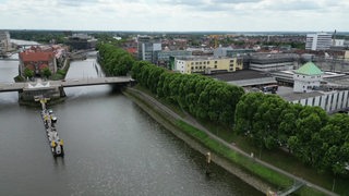 Blick auf die Platanen am Weserdeich in der Bremer Neustadt.