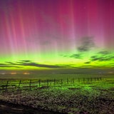 Polarlichter sind am Himmel über Schillig (Kreis Friesland) zu sehen.