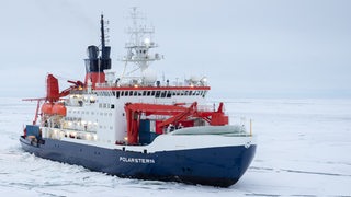 Die "Polarstern" im Polarmeer