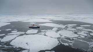 Ein Schiff fährt zwischen Eisschollen durchs Meer.
