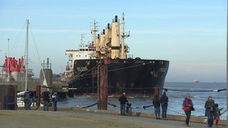 Zu sehen ist das Schiff Polesie im Hafen von Cuxhaven.