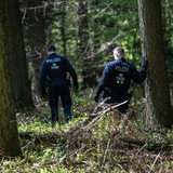 Einsatzkräfte durchsuchen ein Waldstück.