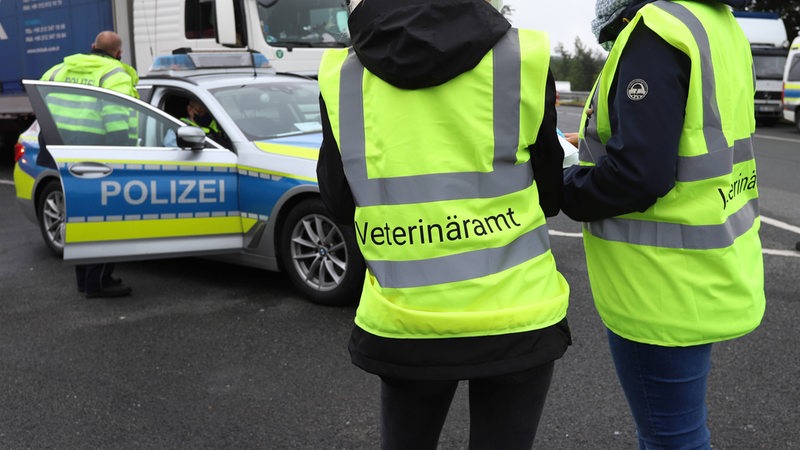 Veterinaeramt (Veterinäramt) und Polizeikontrollieren auf der Autobahn.