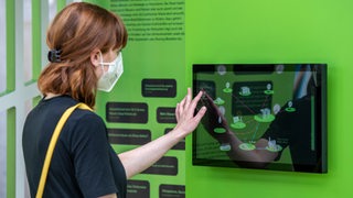 Eine junge Frau mit Maske tippt auf einen Touchscreen an einer grünen Wand.