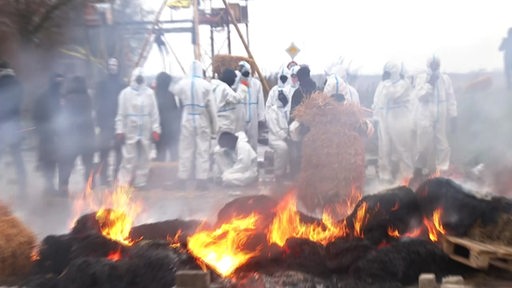 Protestierende verbrennen Stroh auf einem großen Haufen. 