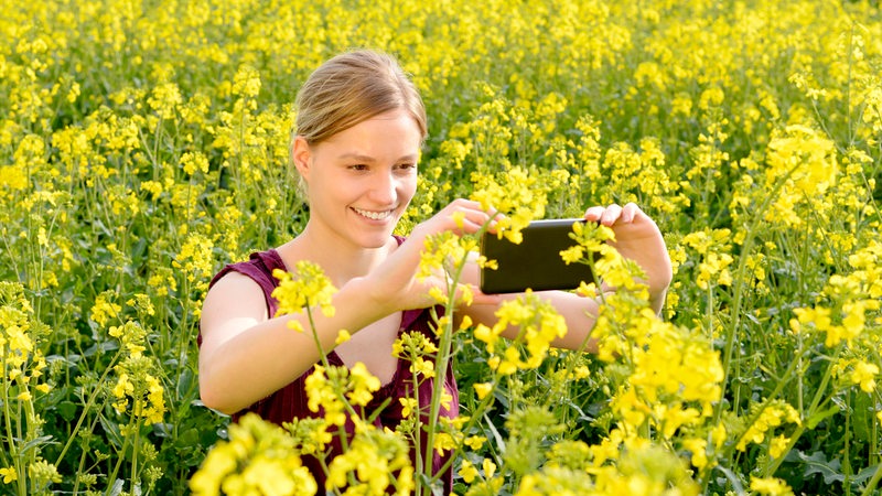 Eine junge Frau steht im Rapsfeld und fotografiert sich mit einem Smartphone selbst