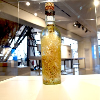 Eine Flasche mit Seetang steht in einer Glasvitrine.