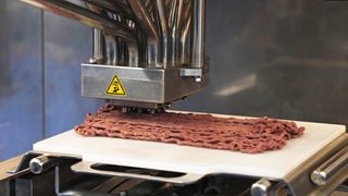 Fleischwaren aus dem 3-D Drucker