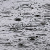 Regen prasselt auf die Wasseroberfläche eines Sees.