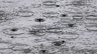 Regen prasselt auf die Wasseroberfläche eines Sees.