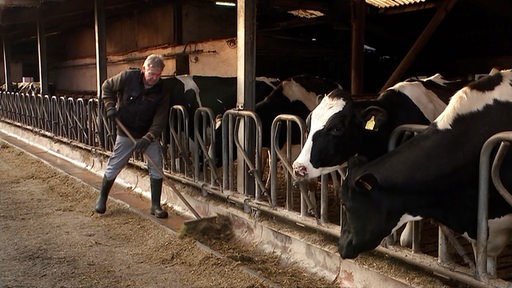 Ein Landwirt fegt im Kuhstall.