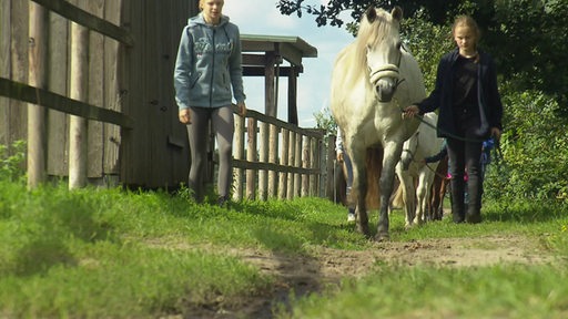 Zwei Kinder führen ein Pferd einen Weg entlang.